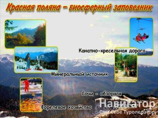 БУРЕВЕСТНИК - пансионат в Курортные поселки Лазаревского района