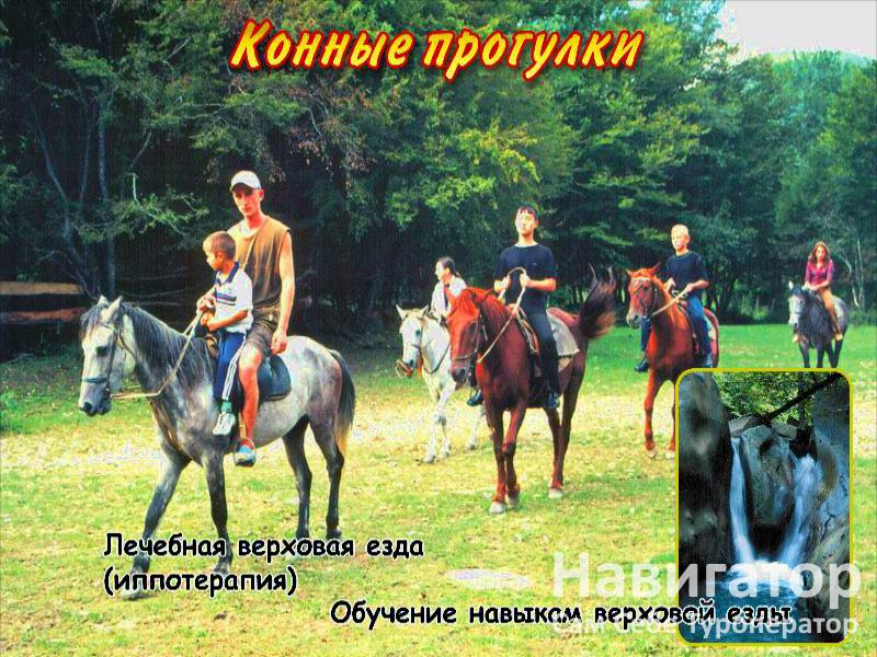 БУРЕВЕСТНИК - пансионат в Курортные поселки Лазаревского района БУРЕВЕСТНИК - пансионат в Курортные поселки Лазаревского района