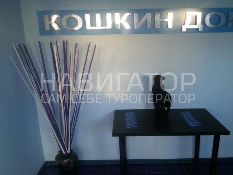 КОШКИН ДОМ - гостевой дом в Горячий ключ КОШКИН ДОМ - гостевой дом в Горячий ключ