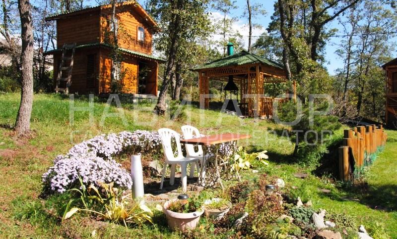 ОЛЬХОВАЯ - база отдыха в Теберда ОЛЬХОВАЯ - база отдыха в Теберда