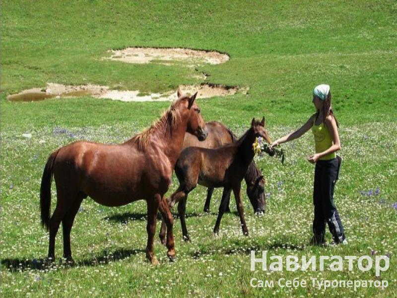 АУАДХАРА - пансионат в Гагра АУАДХАРА - пансионат в Гагра