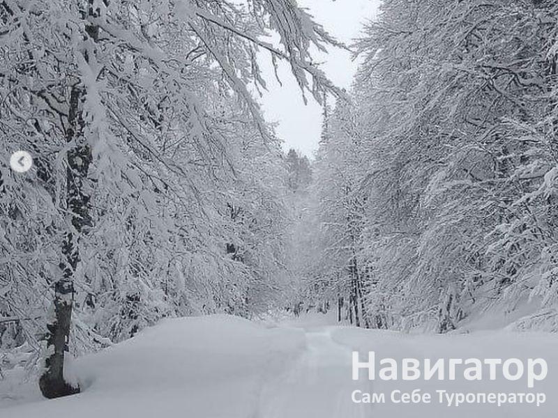 АУАДХАРА - пансионат в Гагра АУАДХАРА - пансионат в Гагра