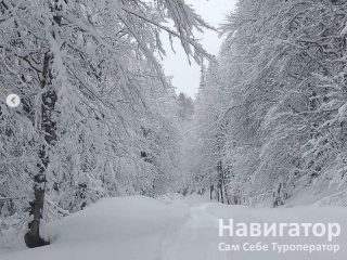 АУАДХАРА - пансионат в Гагра