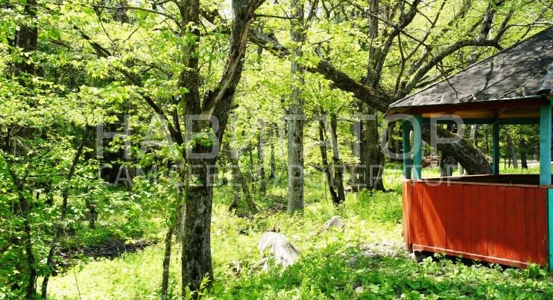 ТЕПЛЫЙ КЛЮЧ - база отдыха в Горячие источники ТЕПЛЫЙ КЛЮЧ - база отдыха в Горячие источники