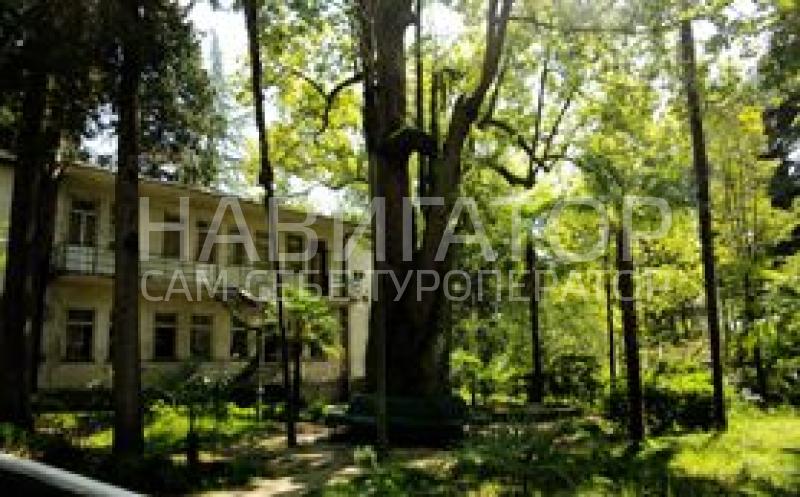 АЙТАР - пансионат в Сухум АЙТАР - пансионат в Сухум