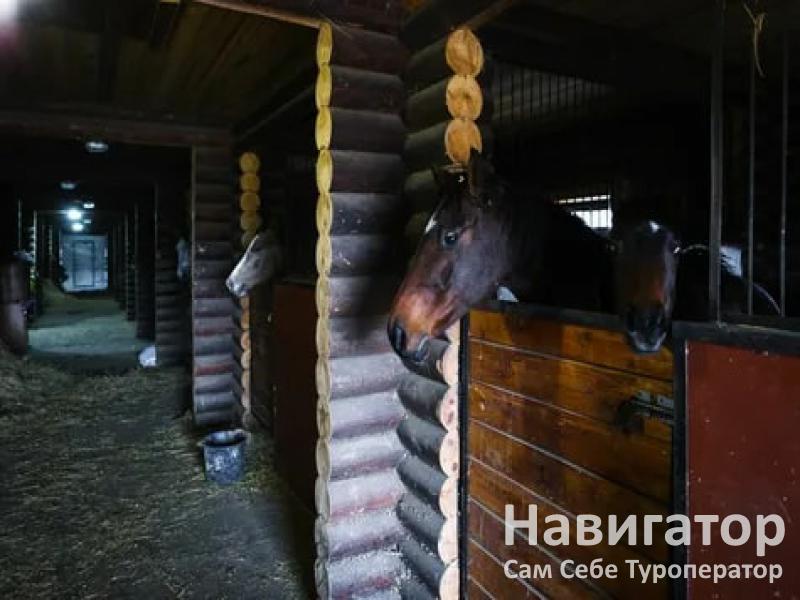 ГРИНЛАНДИЯ - база отдыха в Северский район ГРИНЛАНДИЯ - база отдыха в Северский район