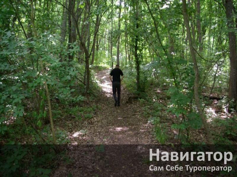 В ГОСТЯХ У ПАВЛИНА - база отдыха в Северский район