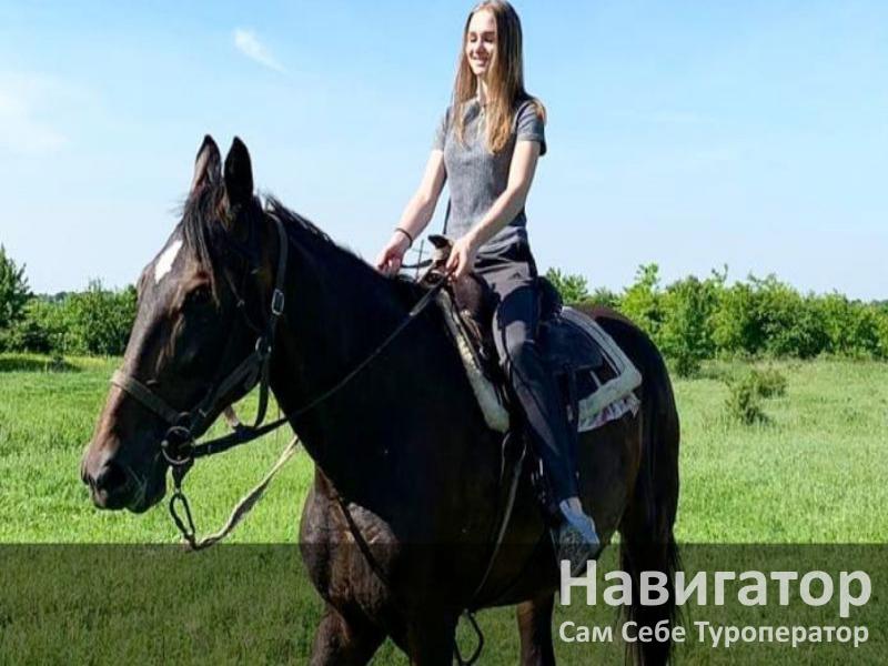 В ГОСТЯХ У ПАВЛИНА - база отдыха в Северский район В ГОСТЯХ У ПАВЛИНА - база отдыха в Северский район