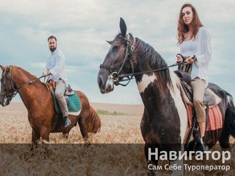 В ГОСТЯХ У ПАВЛИНА - база отдыха в Северский район В ГОСТЯХ У ПАВЛИНА - база отдыха в Северский район