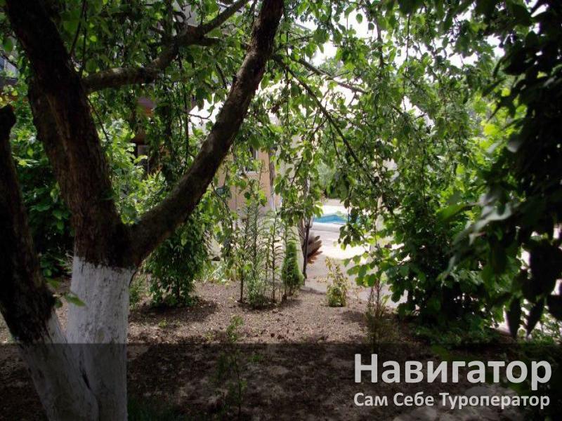 В ГОСТЯХ У ПАВЛИНА - база отдыха в Северский район В ГОСТЯХ У ПАВЛИНА - база отдыха в Северский район