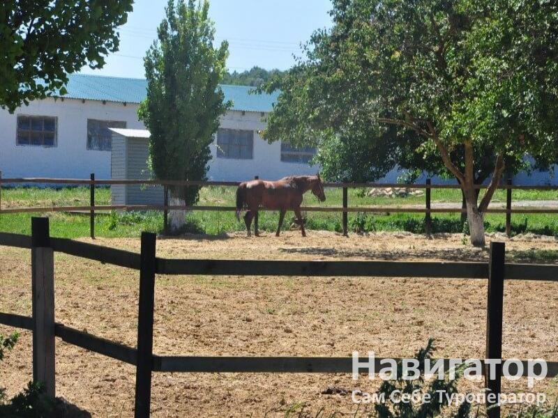 СЕМЕНОВСКИЙ ПРУД - база отдыха в Крымский район СЕМЕНОВСКИЙ ПРУД - база отдыха в Крымский район
