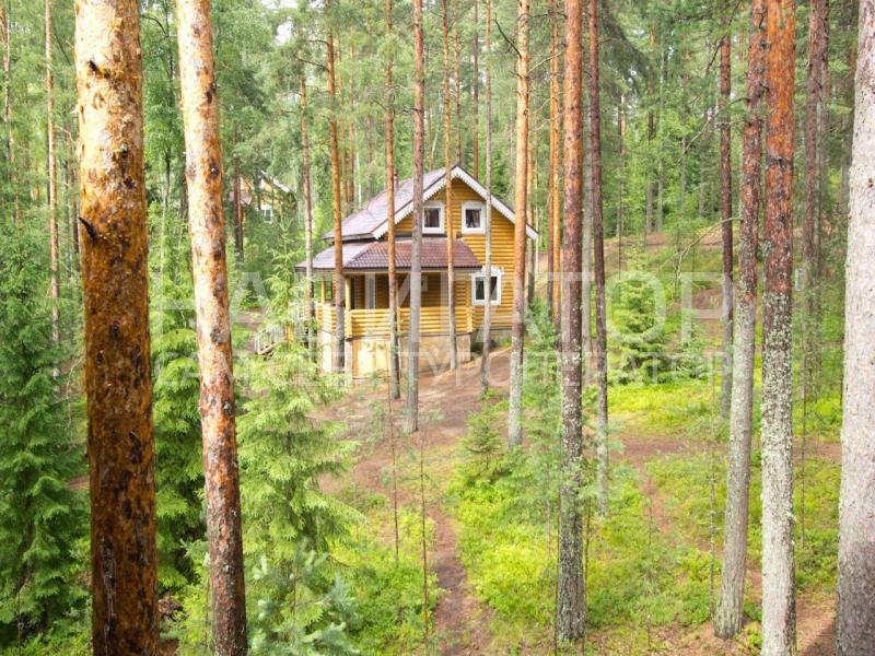 ЖУРАВУШКА - база отдыха в Санкт-Петербург ЖУРАВУШКА - база отдыха в Санкт-Петербург