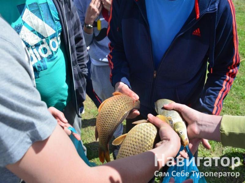 НА ЧЕРКЕССКОМ ТРАКТЕ - загородный комплекс в Хутора и поселки Ставропольского края НА ЧЕРКЕССКОМ ТРАКТЕ - загородный комплекс в Хутора и поселки Ставропольского края