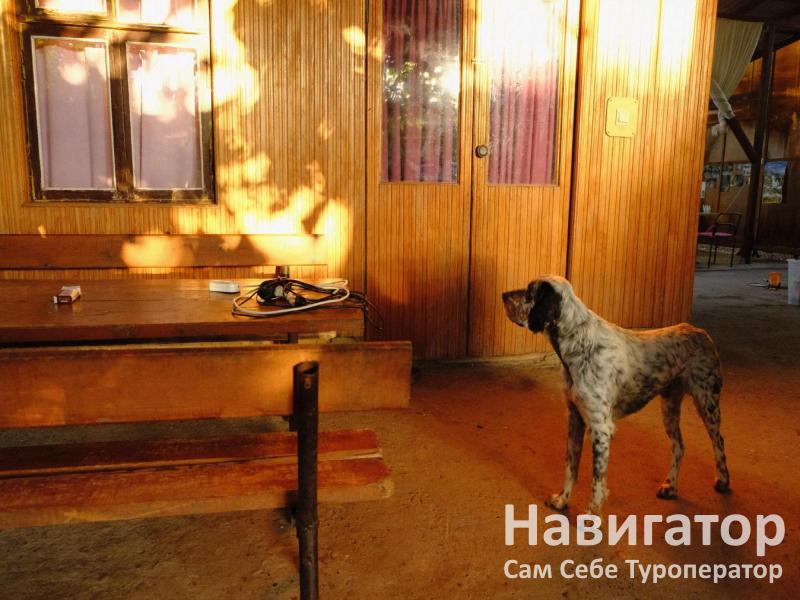 Гостевой дом в Цандрипше в Цандрыпш пос. Гостевой дом в Цандрипше в Цандрыпш пос.