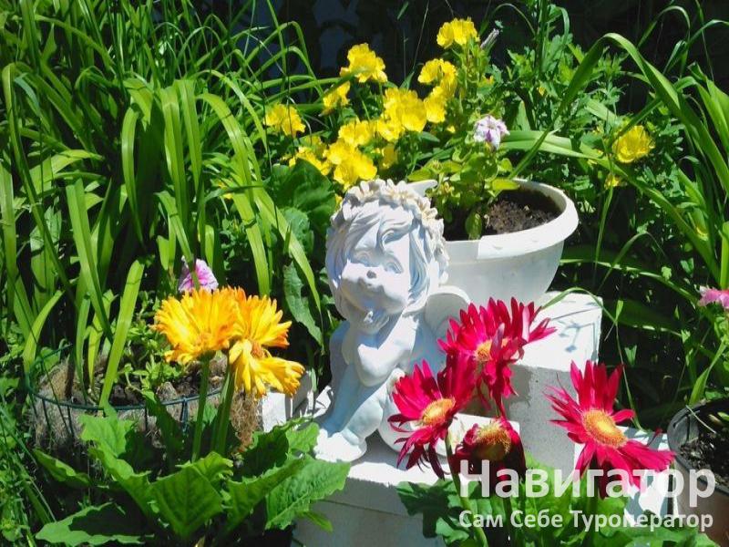 АССОЛЬ - гостевой дом в Кучугуры АССОЛЬ - гостевой дом в Кучугуры