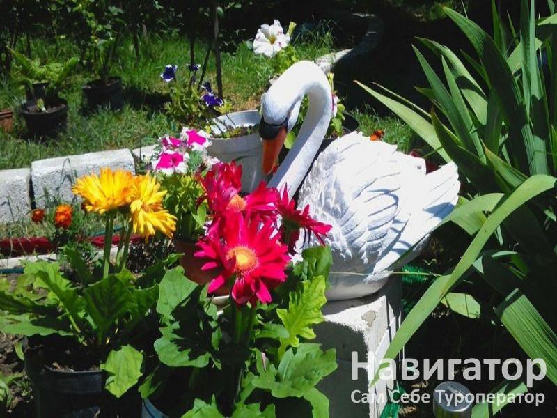 АССОЛЬ - гостевой дом в Кучугуры АССОЛЬ - гостевой дом в Кучугуры