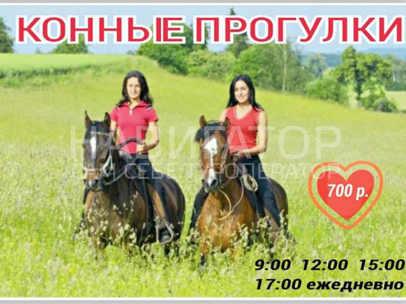 БАБУЦА - гостевой дом в Гагра БАБУЦА - гостевой дом в Гагра