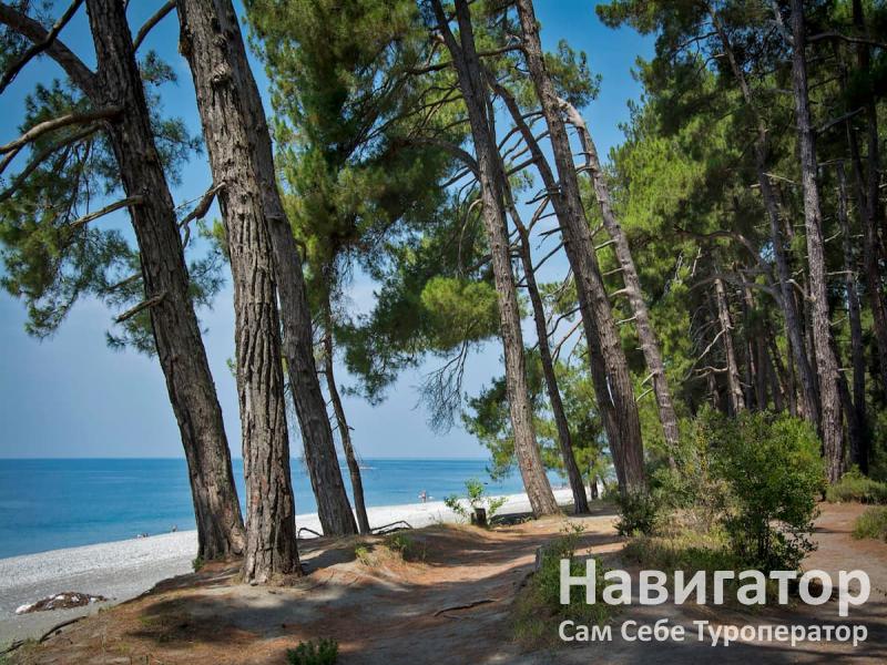 КУРОРТ ПИЦУНДА - объединение пансионатов в Пицунда КУРОРТ ПИЦУНДА - объединение пансионатов в Пицунда