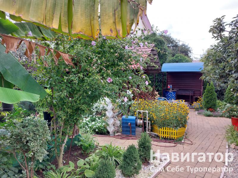 ЧАЙКА - гостевой дом в Нижне-Имеретинская бухта ЧАЙКА - гостевой дом в Нижне-Имеретинская бухта