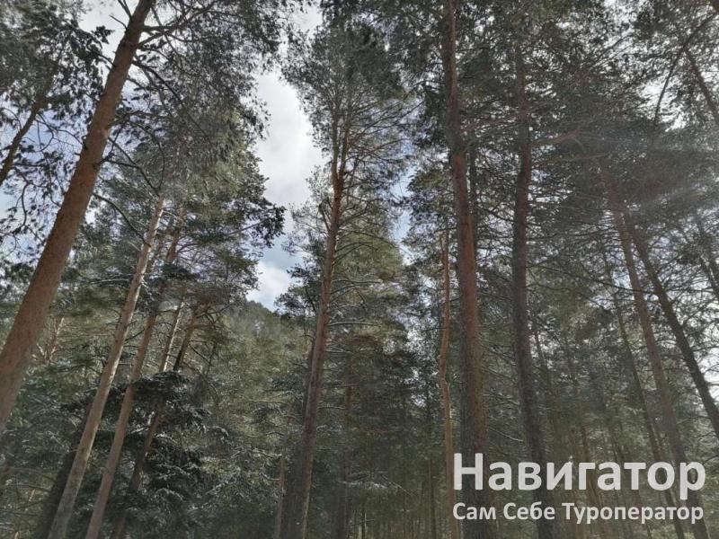 МАРАЛ - мини-отель в Эльбрус МАРАЛ - мини-отель в Эльбрус