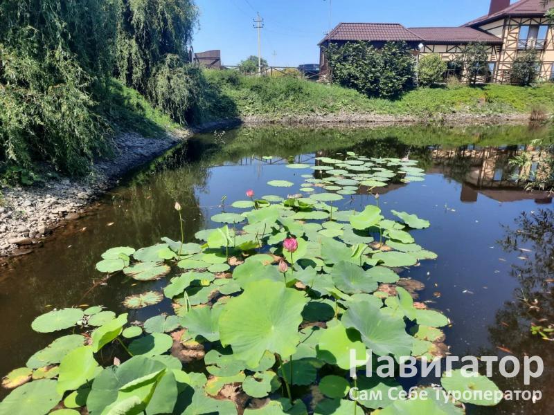 ВЕНЕРА - база отдыха в Мостовской район ВЕНЕРА - база отдыха в Мостовской район