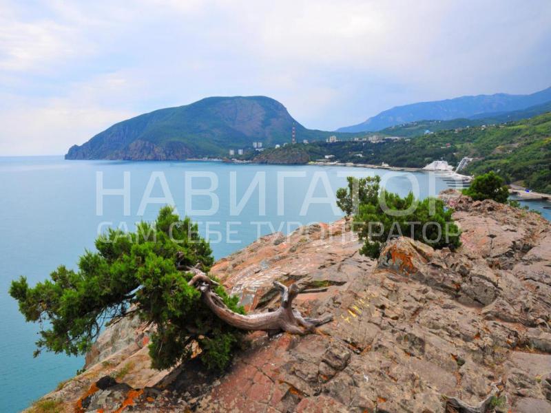 VILLA AL MARINE - гостиница в Алушта VILLA AL MARINE - гостиница в Алушта