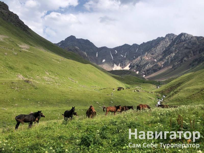 КИШКЕТ - база отдыха в Карачаево-Черкесская Республика КИШКЕТ - база отдыха в Карачаево-Черкесская Республика