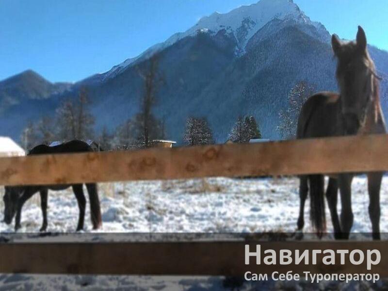 ЧИНАР - база отдыха в Архыз ЧИНАР - база отдыха в Архыз