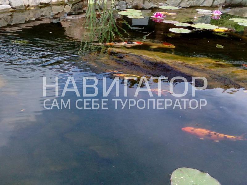 УСАДЬБА ПАПЫ КАРЛО - база отдыха в Динской район УСАДЬБА ПАПЫ КАРЛО - база отдыха в Динской район