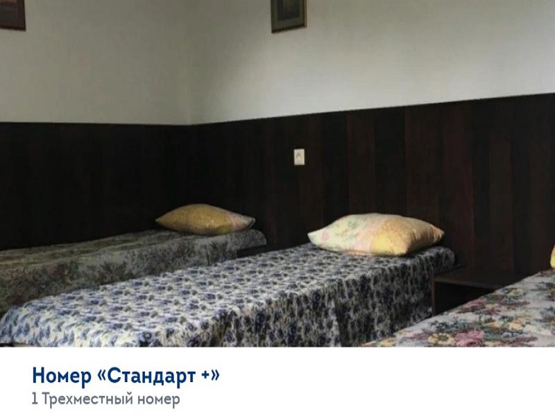 ИГОРЬ - гостевой дом в Село Великовечное ИГОРЬ - гостевой дом в Село Великовечное