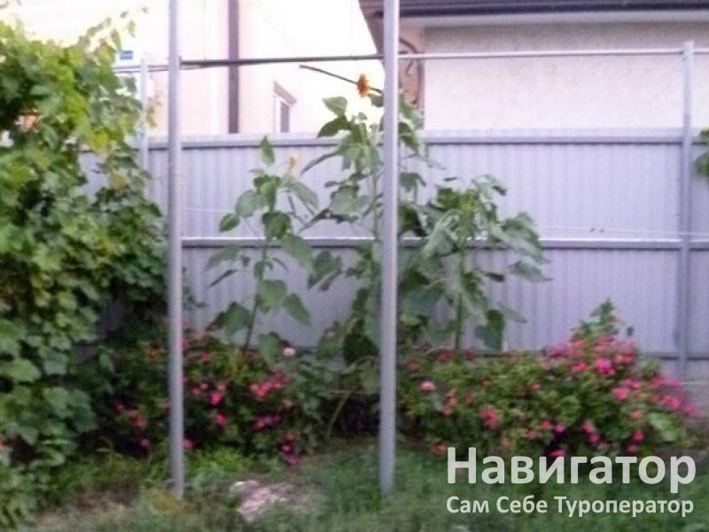 ИРЕНА - гостевой дом в Кучугуры ИРЕНА - гостевой дом в Кучугуры