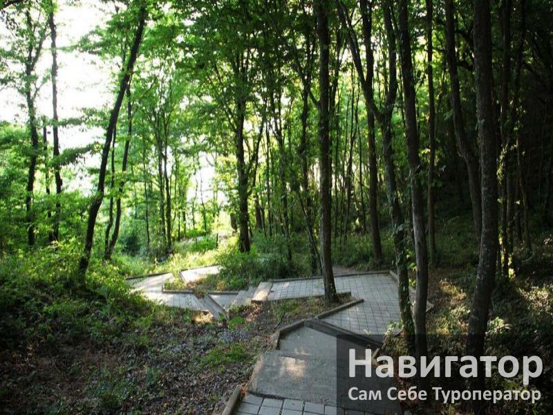 АНАСТАСИЯ - база отдыха в Курортные поселки Туапсе АНАСТАСИЯ - база отдыха в Курортные поселки Туапсе