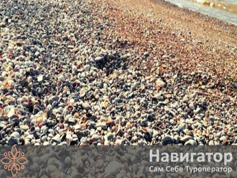ВЫСОКИЙ БЕРЕГ - мини гостиница в Ейск ВЫСОКИЙ БЕРЕГ - мини гостиница в Ейск