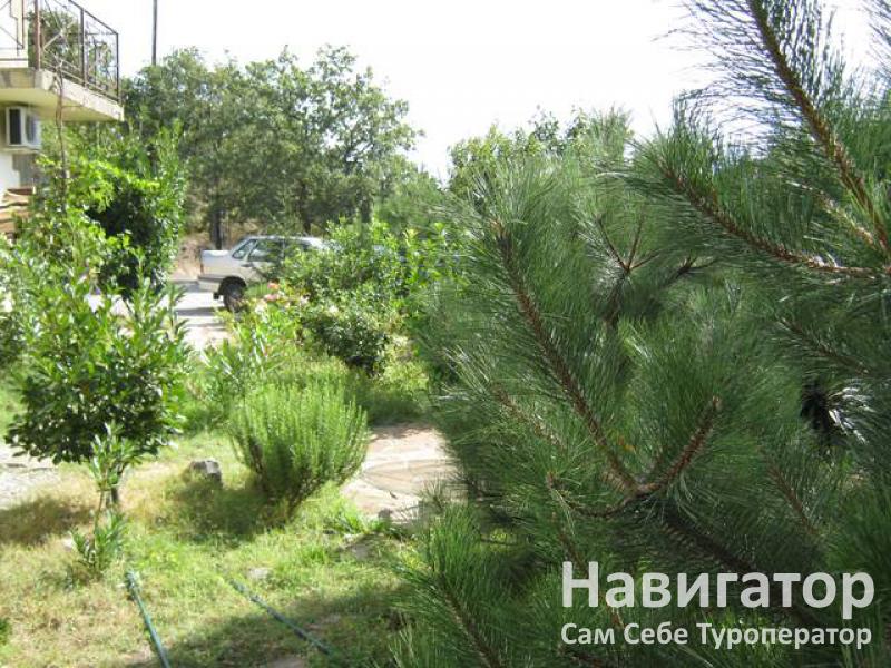 ЧЕРНОЕ МОРЕ - гостевой дом в Алупка ЧЕРНОЕ МОРЕ - гостевой дом в Алупка