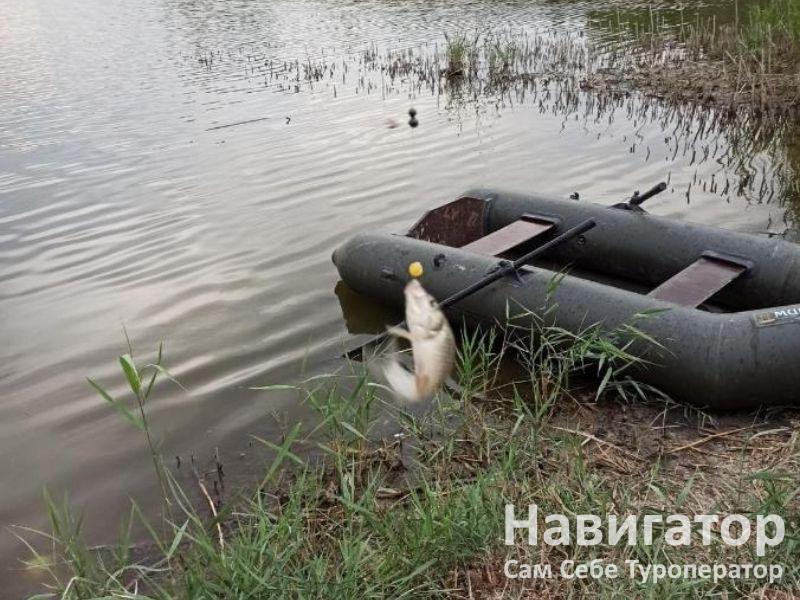 ЛЕСНЫЕ ОЗЕРА - гостиничный комплекс в Хутора и поселки Ставропольского края ЛЕСНЫЕ ОЗЕРА - гостиничный комплекс в Хутора и поселки Ставропольского края