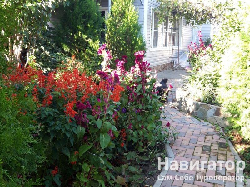 ЕЛЕНА - гостевой дом в Село Великовечное ЕЛЕНА - гостевой дом в Село Великовечное