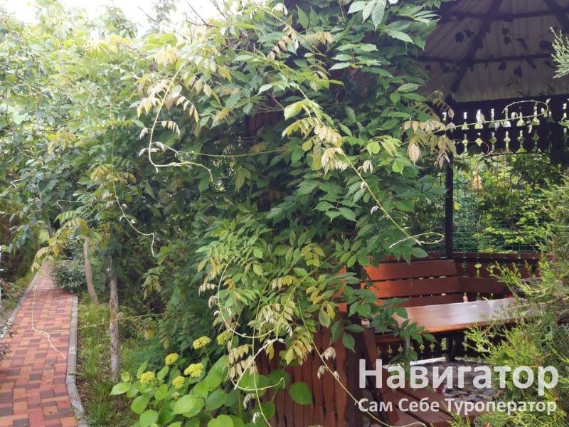 ЕЛЕНА - гостевой дом в Село Великовечное ЕЛЕНА - гостевой дом в Село Великовечное