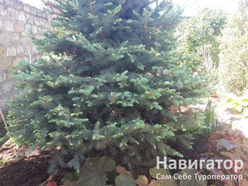ЕЛЕНА - гостевой дом в Село Великовечное ЕЛЕНА - гостевой дом в Село Великовечное