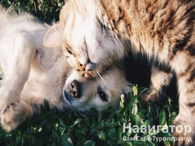 АЛЛЮР- пансионат в Архыз АЛЛЮР- пансионат в Архыз