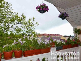 ЦВЕТОЧНАЯ ПОЛЯНА - гостевой дом в Нижне-Имеретинская бухта ЦВЕТОЧНАЯ ПОЛЯНА - гостевой дом в Нижне-Имеретинская бухта
