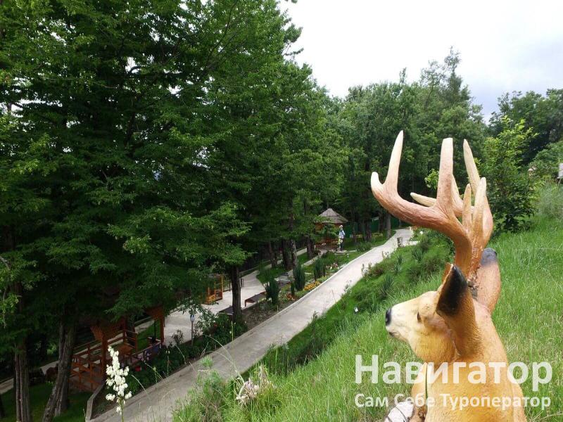 АНДРИАНОВА - отель в Курортные поселки Лазаревского района АНДРИАНОВА - отель в Курортные поселки Лазаревского района