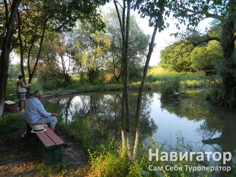ЭКО ФЕРМА - туркомплекс в Курортные поселки Анапы ЭКО ФЕРМА - туркомплекс в Курортные поселки Анапы