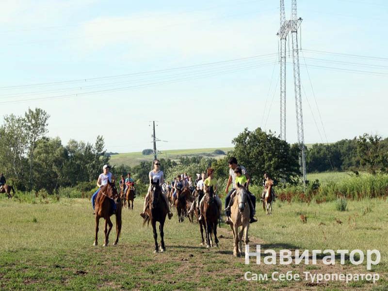 ЭКО ФЕРМА - туркомплекс в Курортные поселки Анапы ЭКО ФЕРМА - туркомплекс в Курортные поселки Анапы