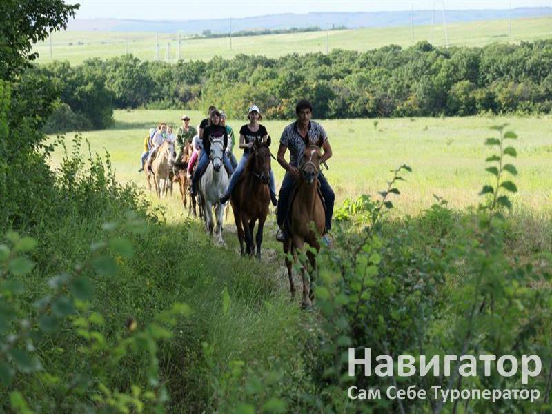 ЭКО ФЕРМА - туркомплекс в Курортные поселки Анапы ЭКО ФЕРМА - туркомплекс в Курортные поселки Анапы