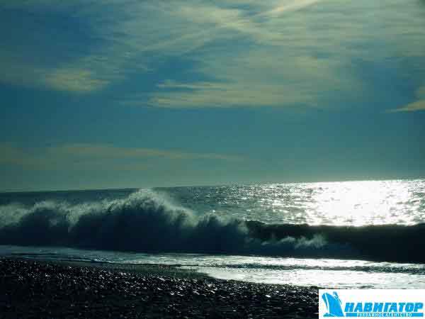 pict0515.jpg